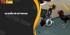 Ưu điểm sảnh cược đá gà 79King